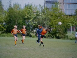 0DIA 1984 RAVA PUPS 1